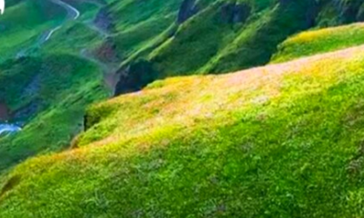 西双版纳旅居院落